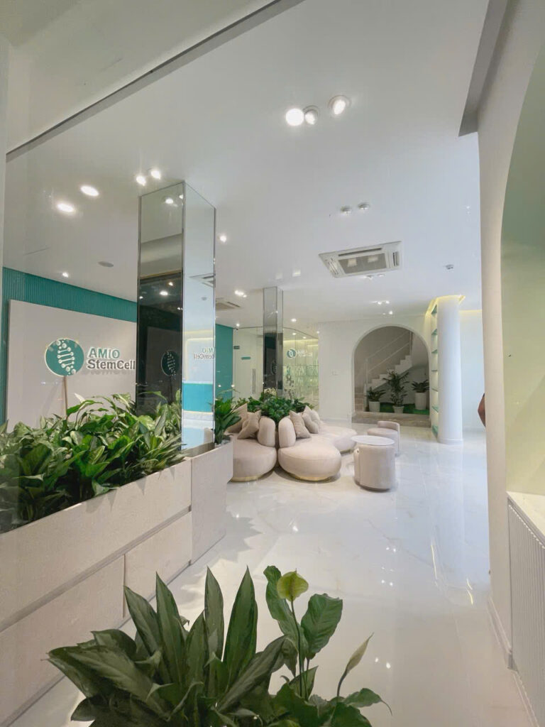 Khu chờ AMIO StemCell