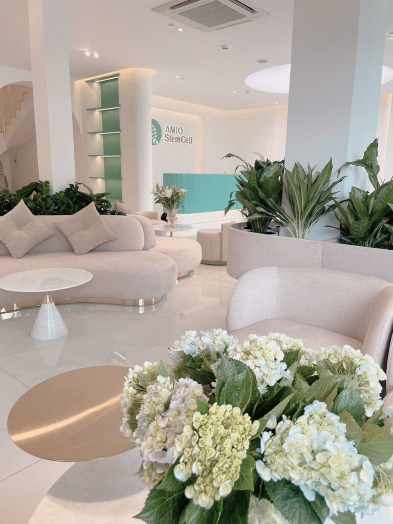 Khu chờ AMIO StemCell